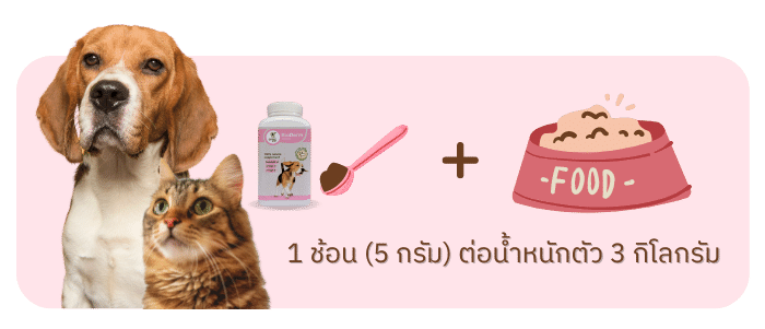 วิธีการกิน BioDerm