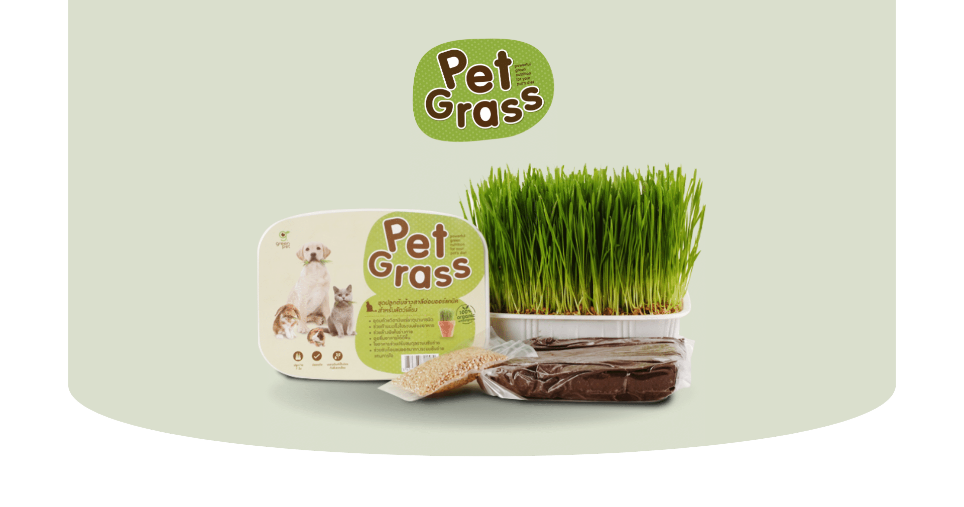 Read more about the article Pet Grass