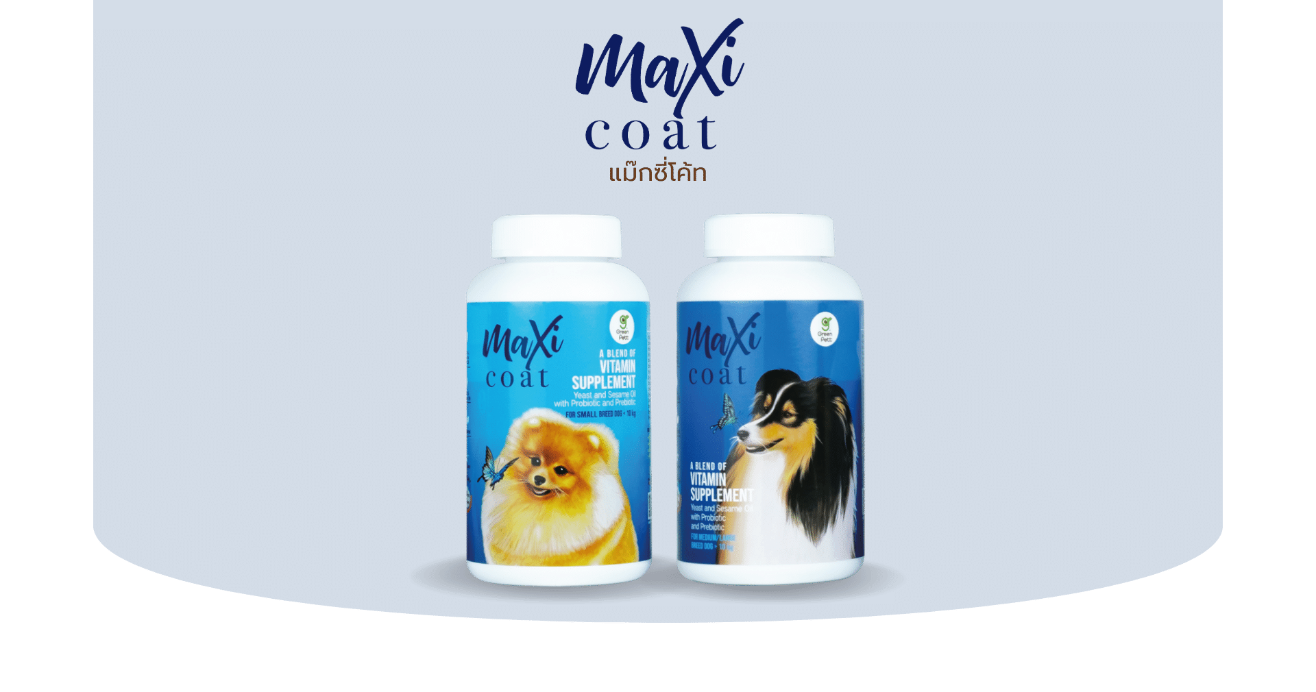 Read more about the article Maxi Coat Dog