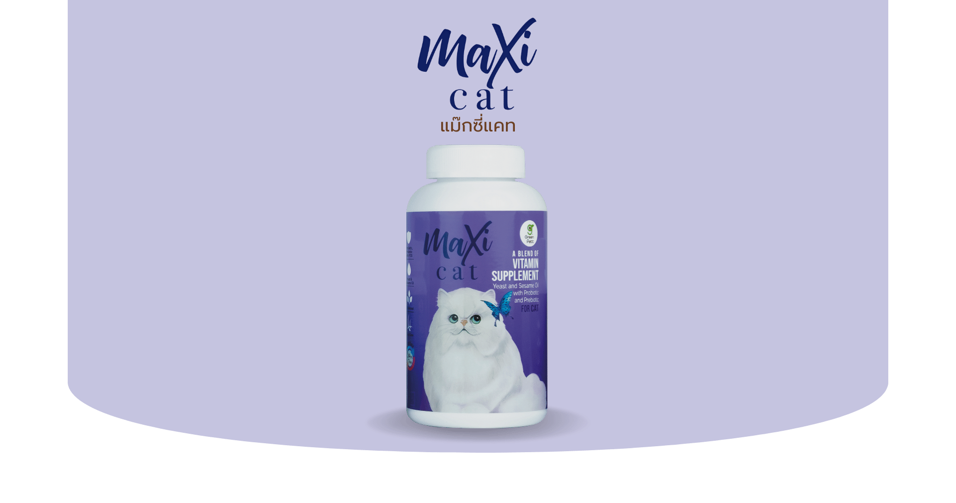 Read more about the article Maxi Cat