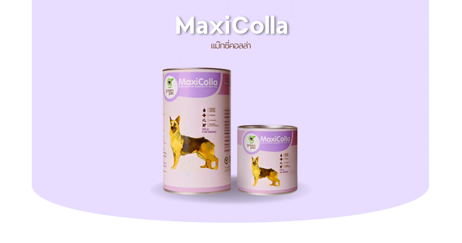 Read more about the article Maxi Colla