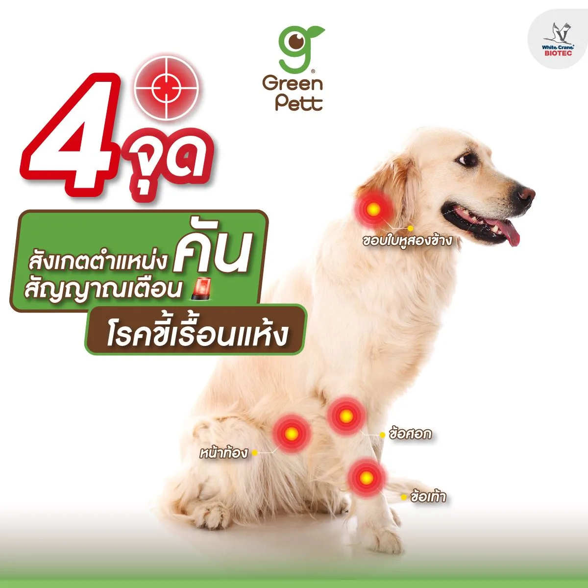 Read more about the article 4 จุดคัน โรคขี้เรื้อนแห้ง