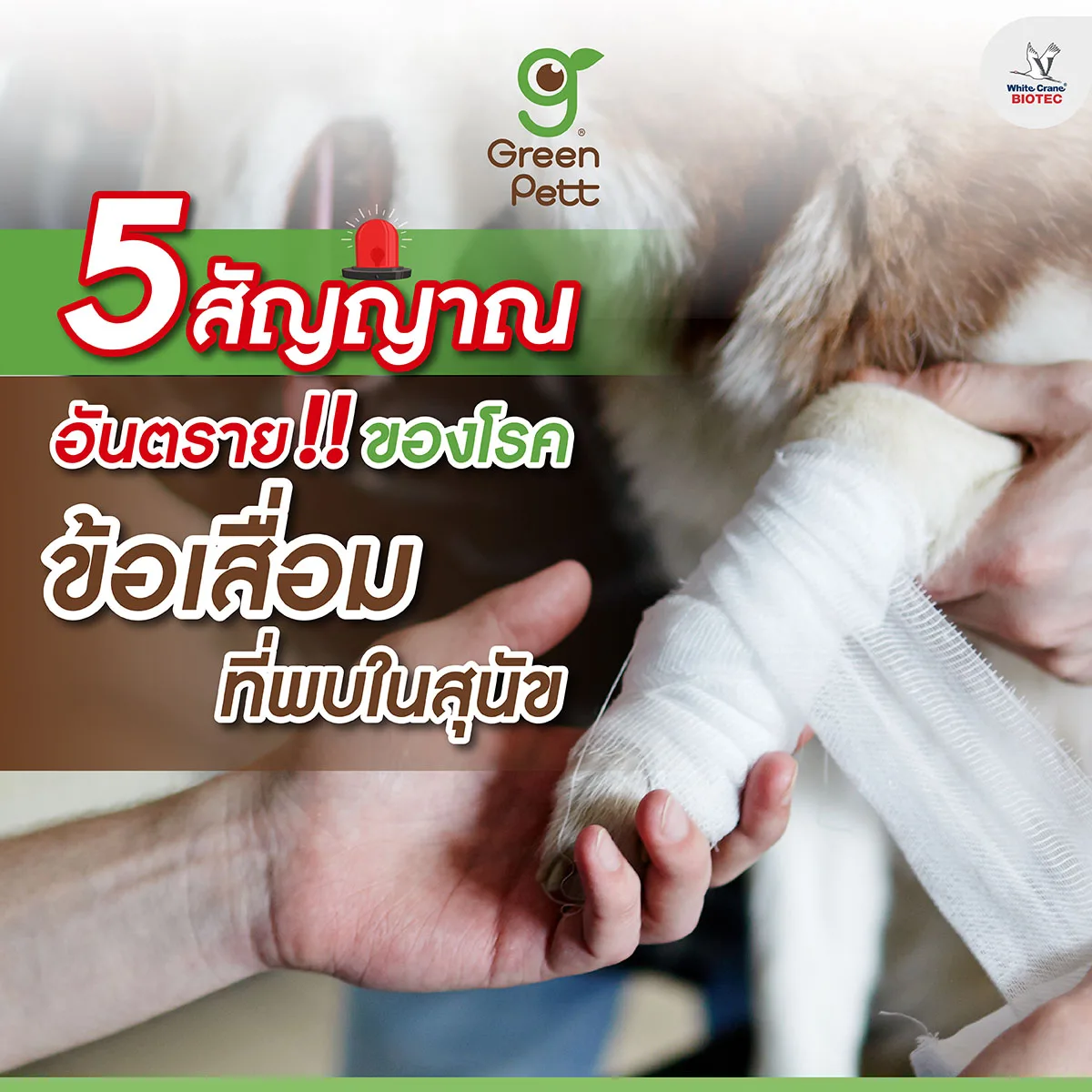 Read more about the article 5 สัญญาณของโรคข้อเสื่อม