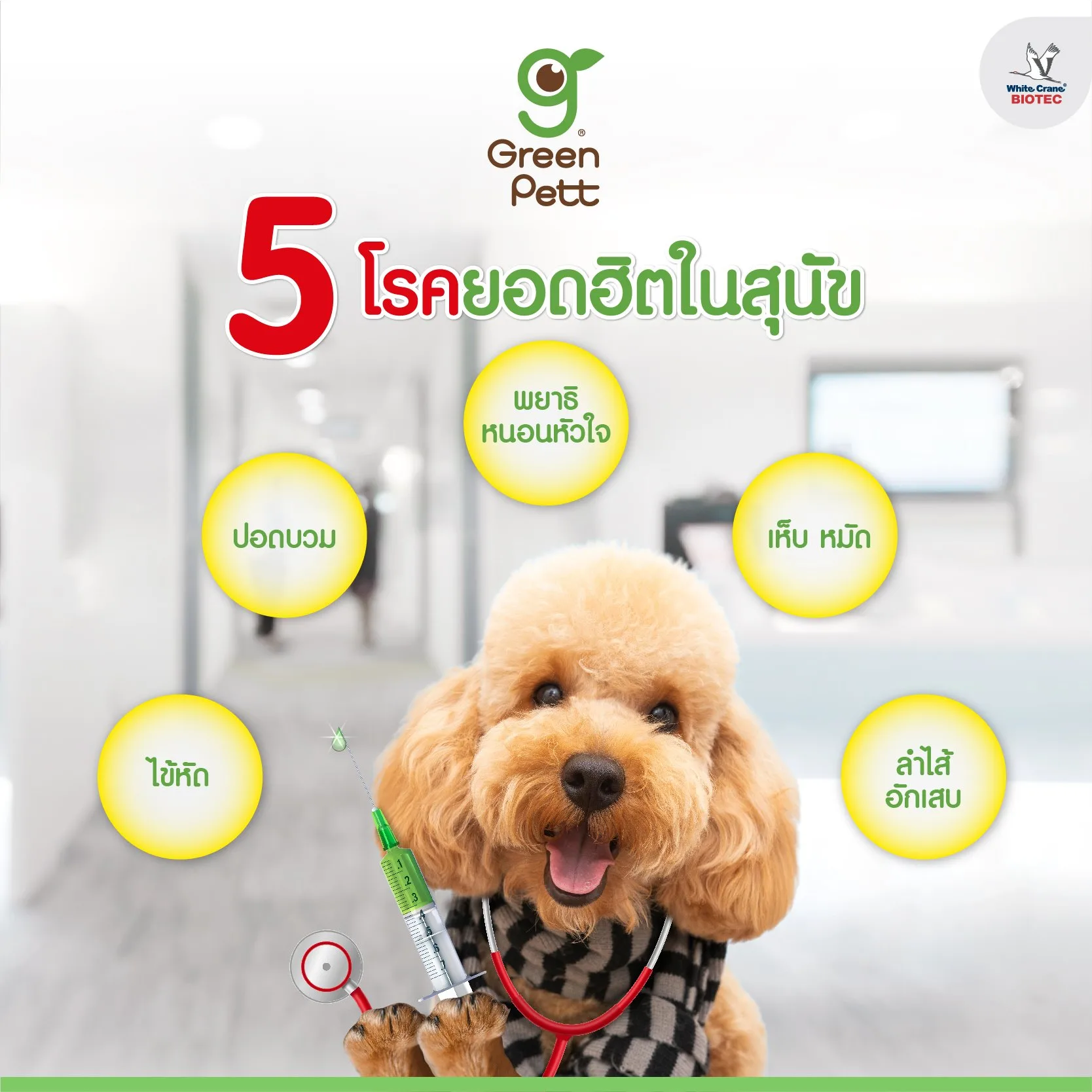 Read more about the article 5 โรคยอดฮิตในสุนัข