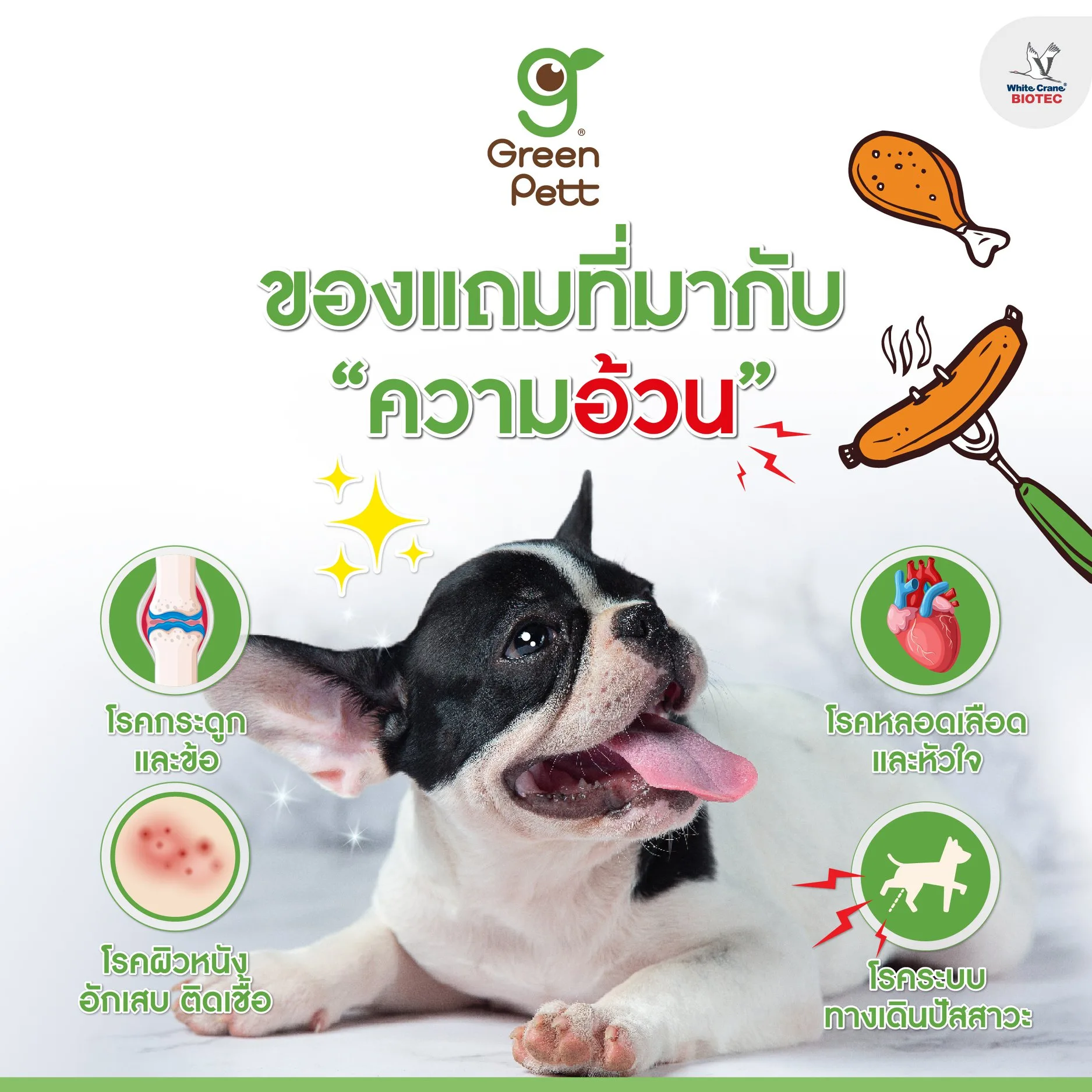 Read more about the article ของแถมที่มากับความอ้วน