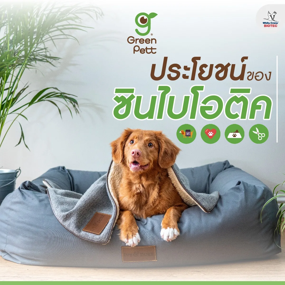 Read more about the article ประโยชน์ของซินไบโอติก