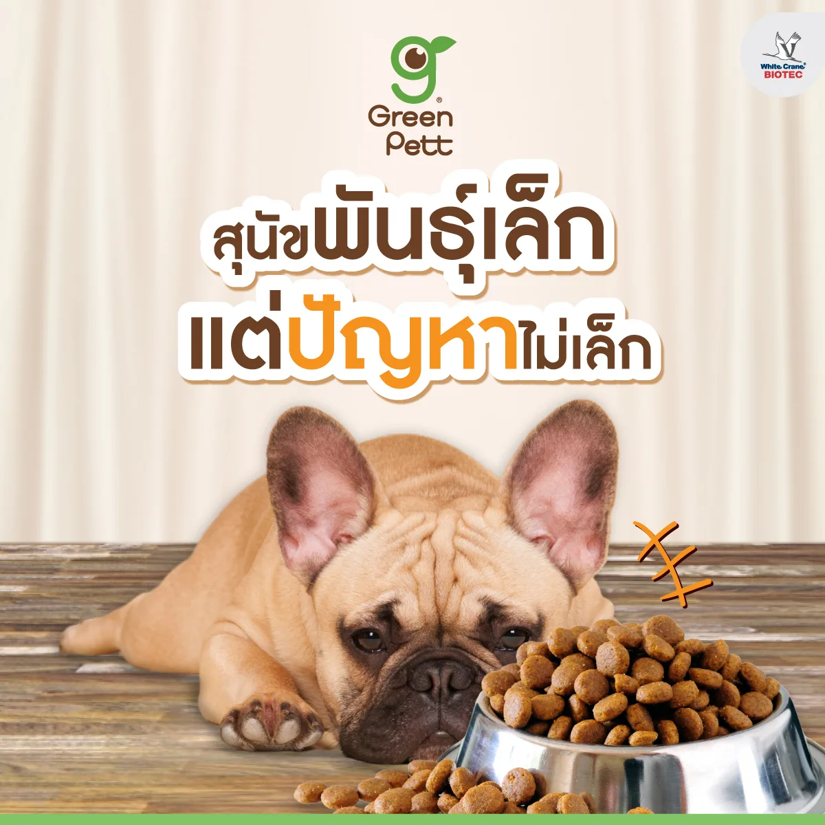 Read more about the article สุนัขพันธุ์เล็กกับเรื่องระบบลำไส้