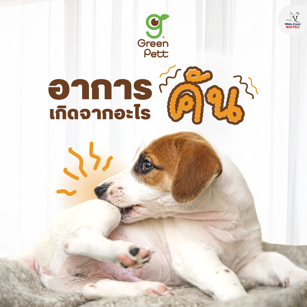 Read more about the article อาการคันเกิดจากอะไร