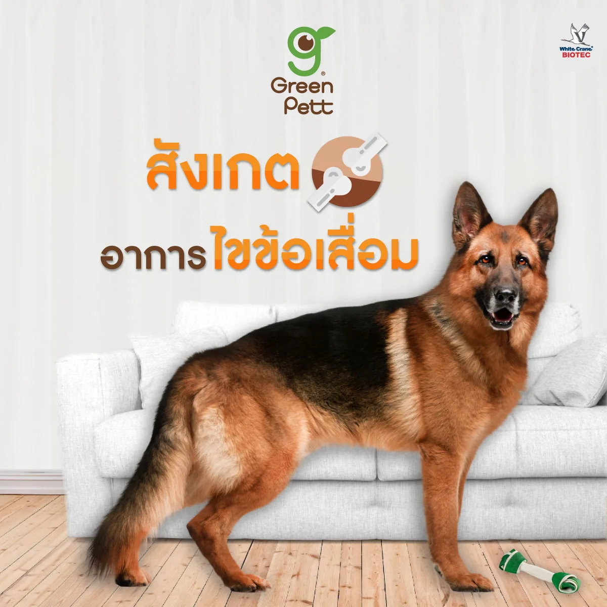 Read more about the article โรคข้อสะโพกเสื่อม