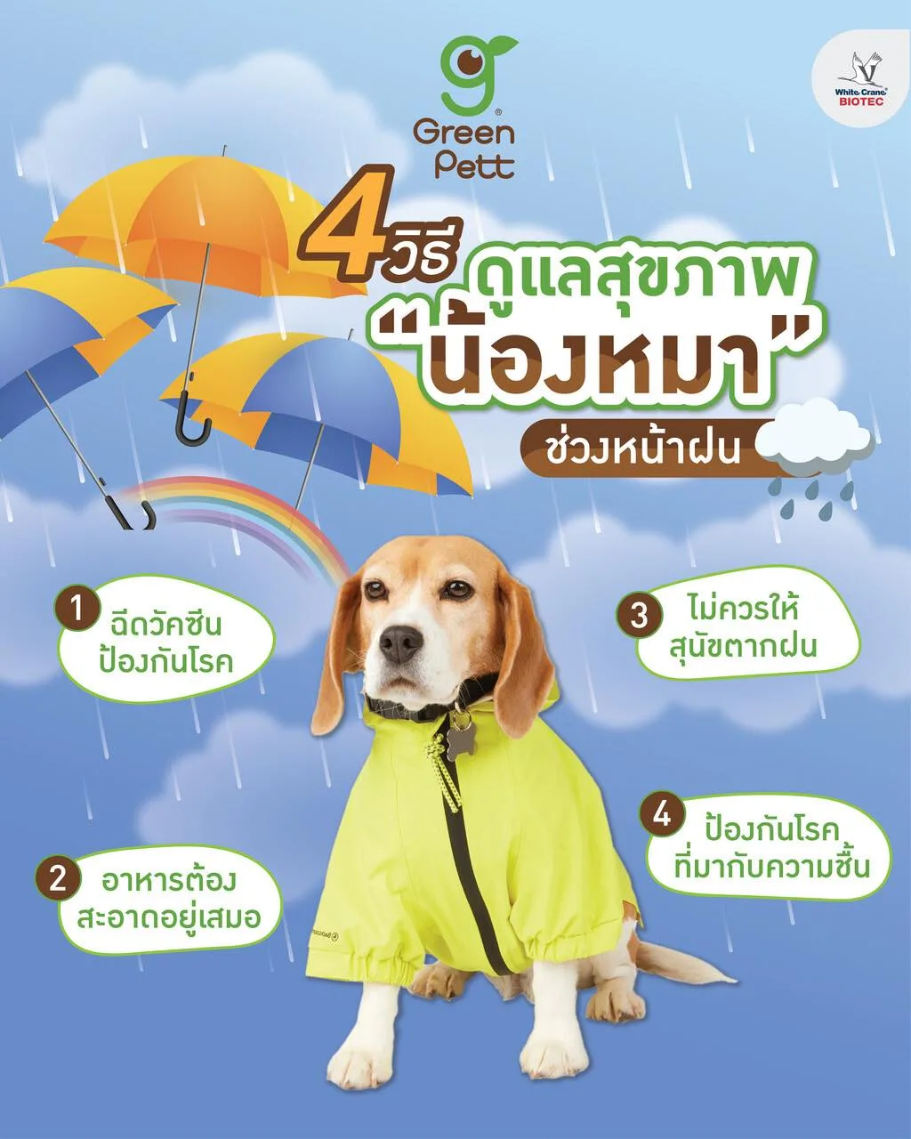 Read more about the article 4 วิธีดูแลน้องหมาช่วงหน้าฝน