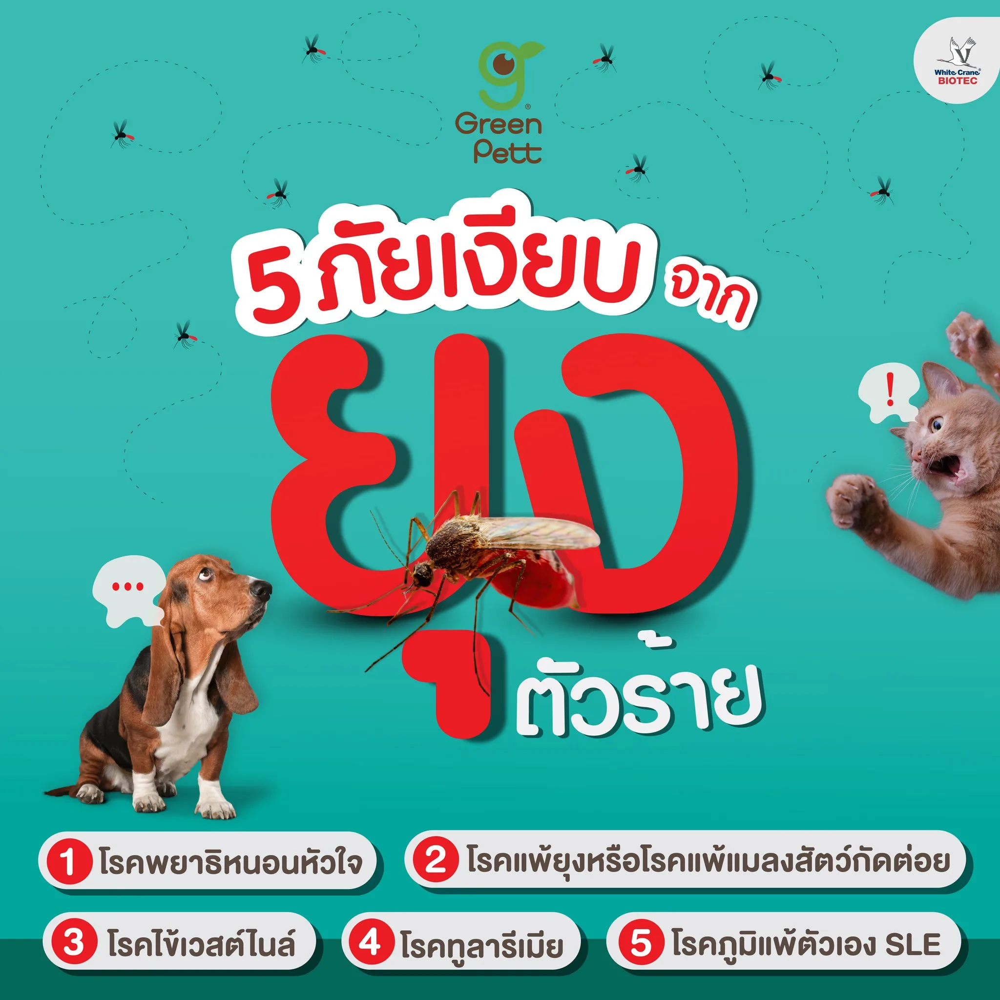 Read more about the article 5 ภัยเงียบจากยุงตัวร้าย