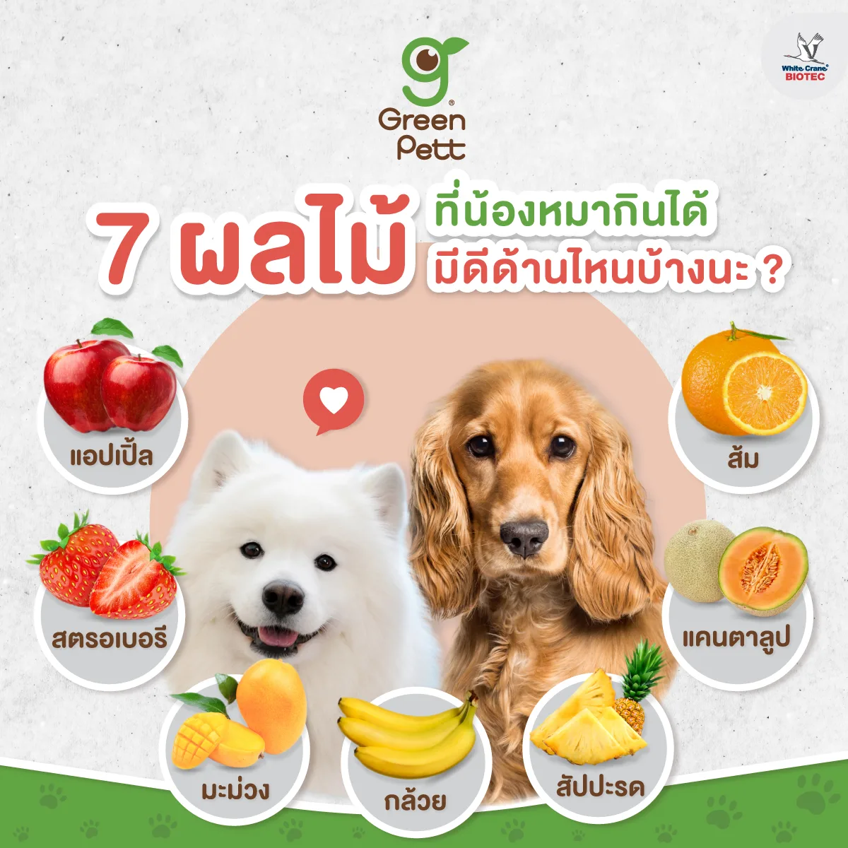 Read more about the article 7 ผลไม้ที่สุนัขกินได้