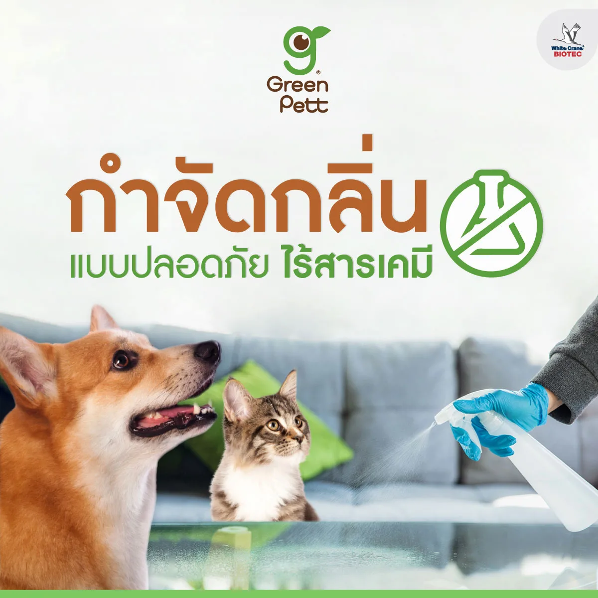 Read more about the article กำจัดกลิ่นแบบปลอดภัย “ไร้สารเคมี”