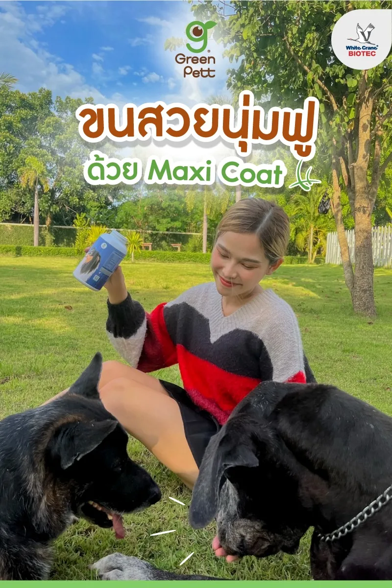 Read more about the article ขนสวยนุ่มฟูด้วย Maxi Coat
