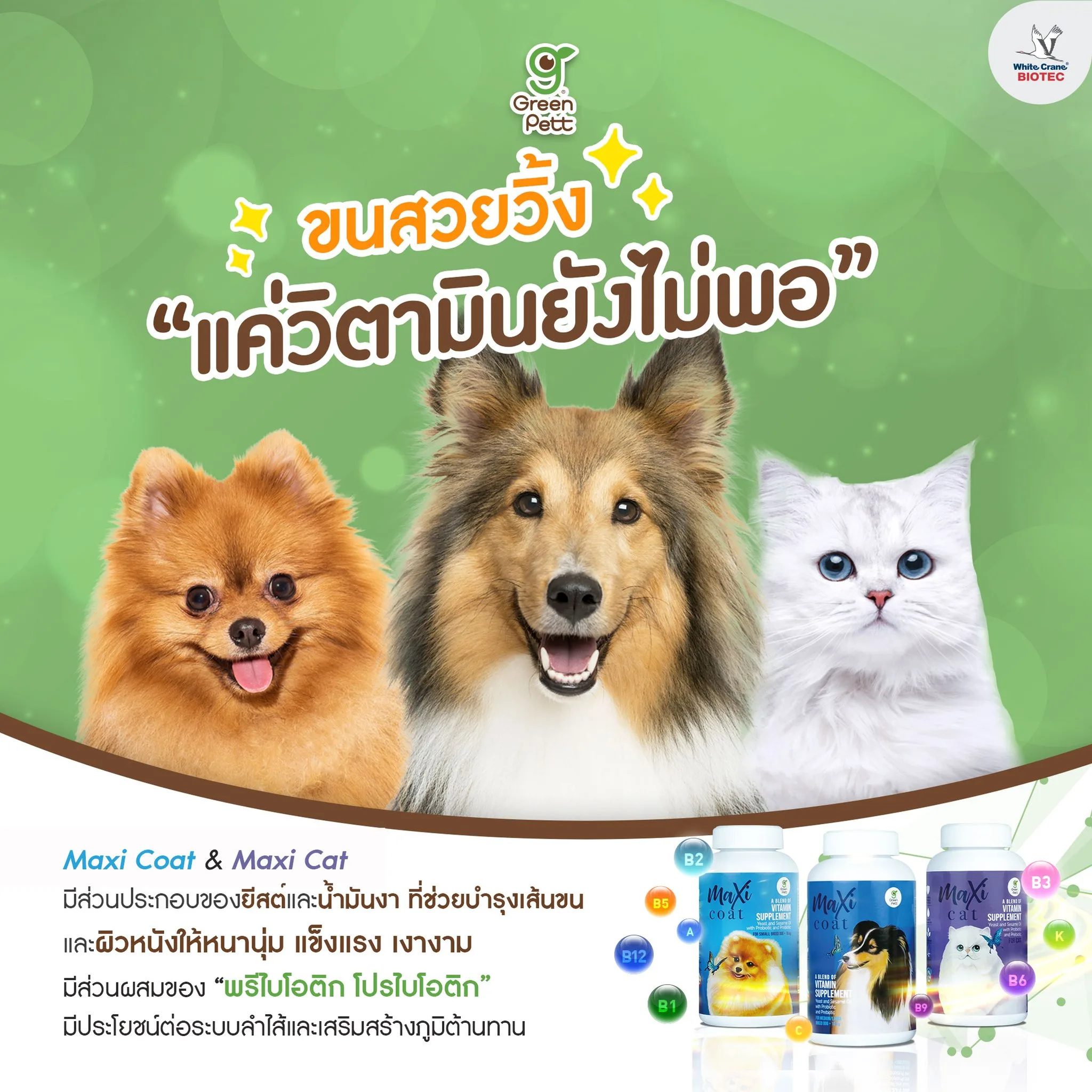 Read more about the article ขนสวยวิ้ง แค่วิตามินยังไม่พอ