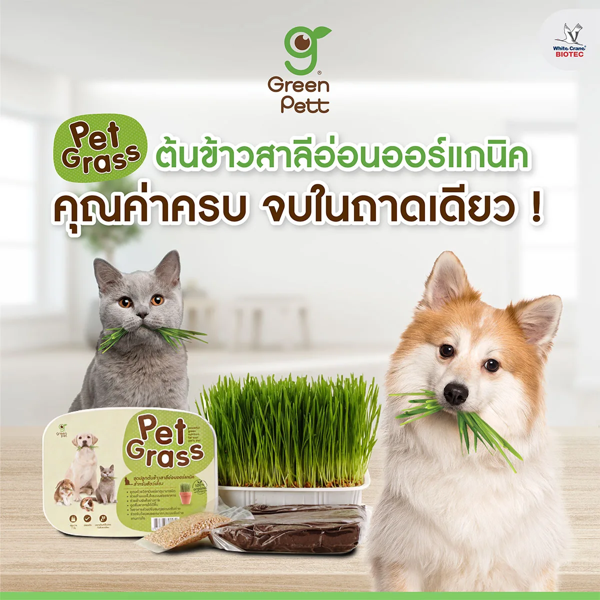 Read more about the article คุณค่าครบ จบในถาดเดียว