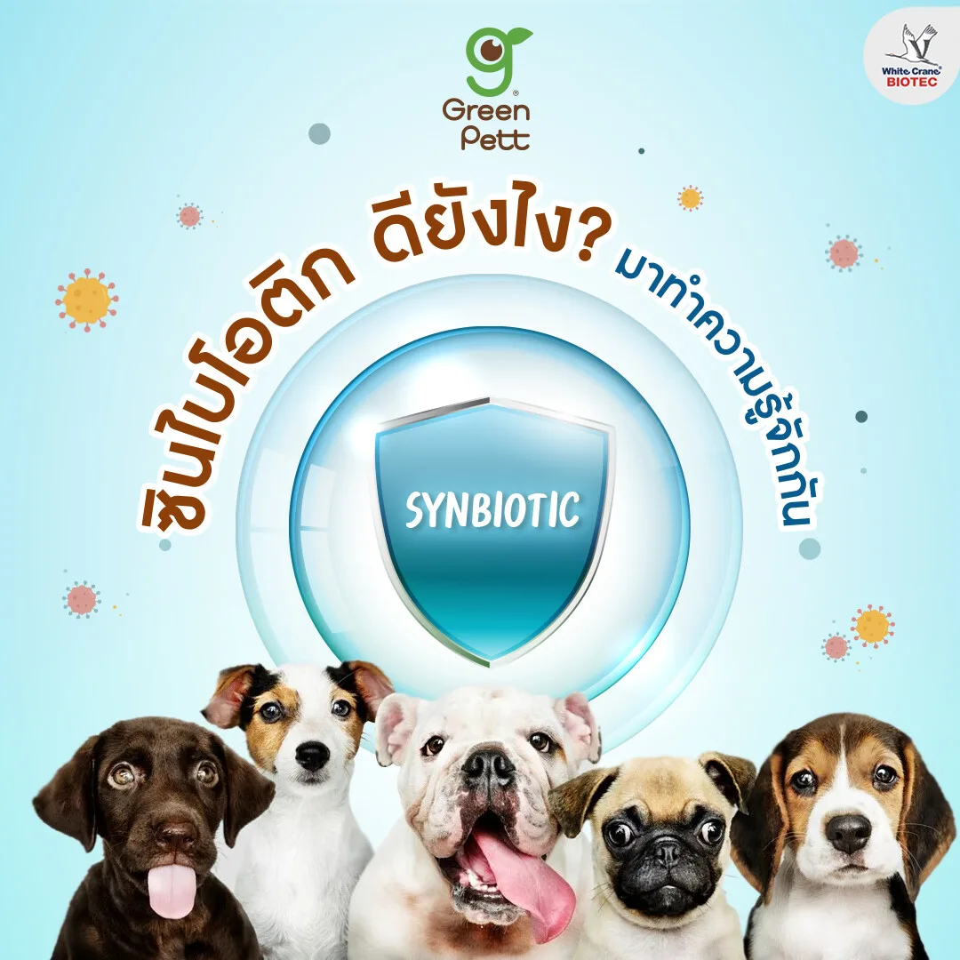 Read more about the article ซินไบโอติก ดียังไง?