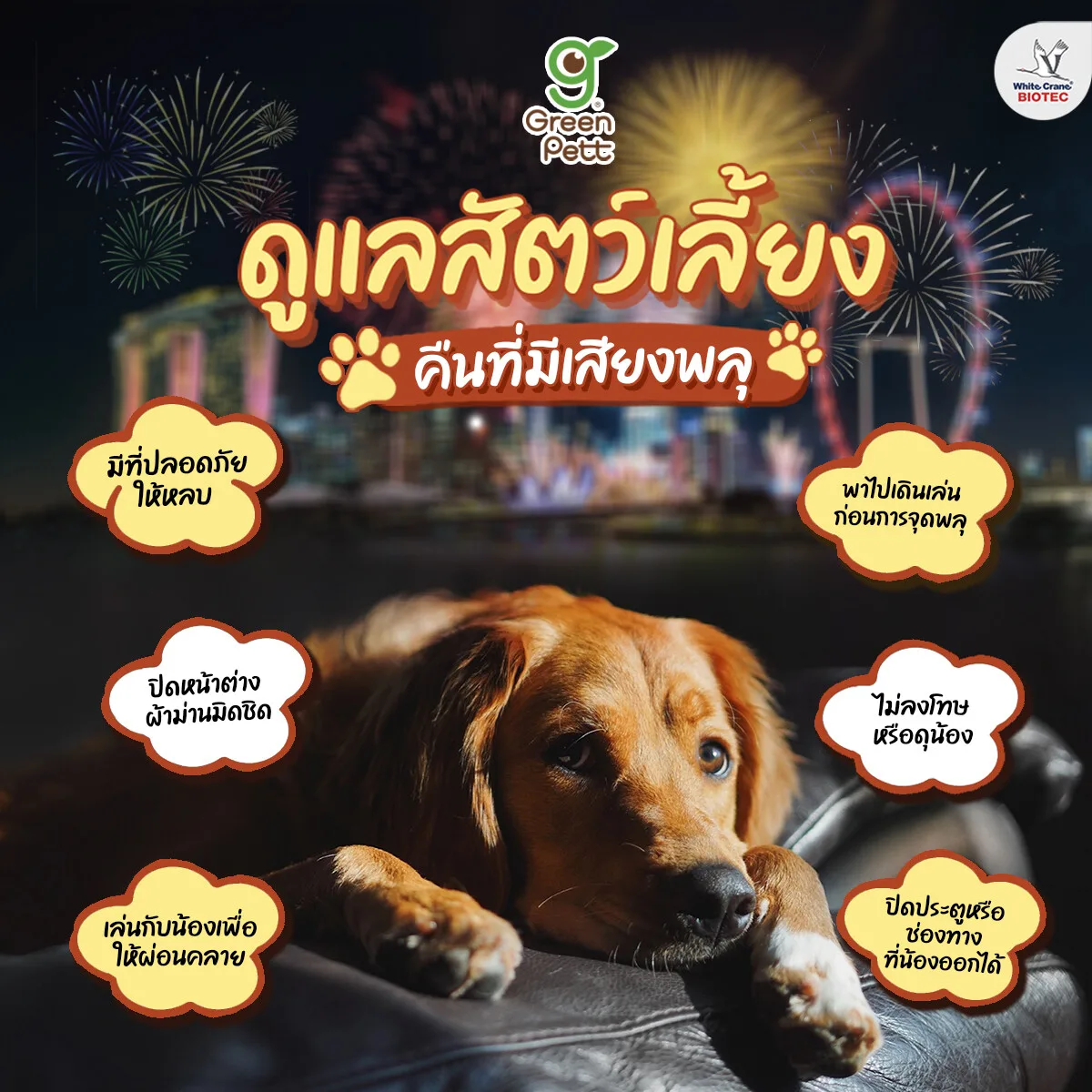 Read more about the article ดูแลสัตว์เลี้ยง คืนที่มีเสียงพลุ