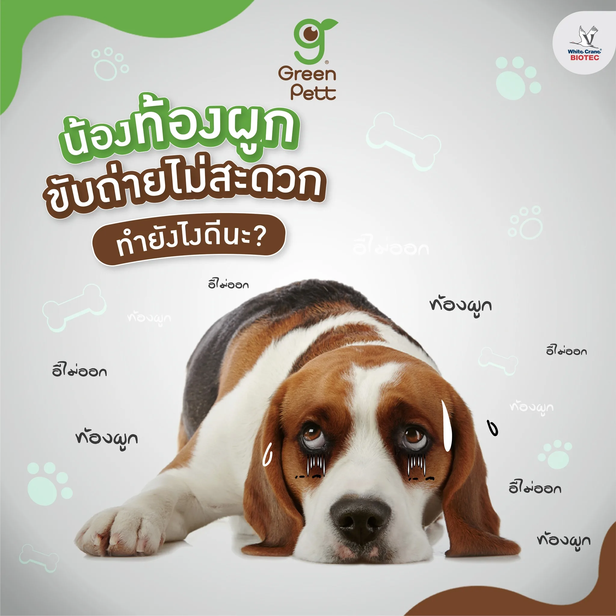 Read more about the article น้องหมาท้องผูก ทำไงดี