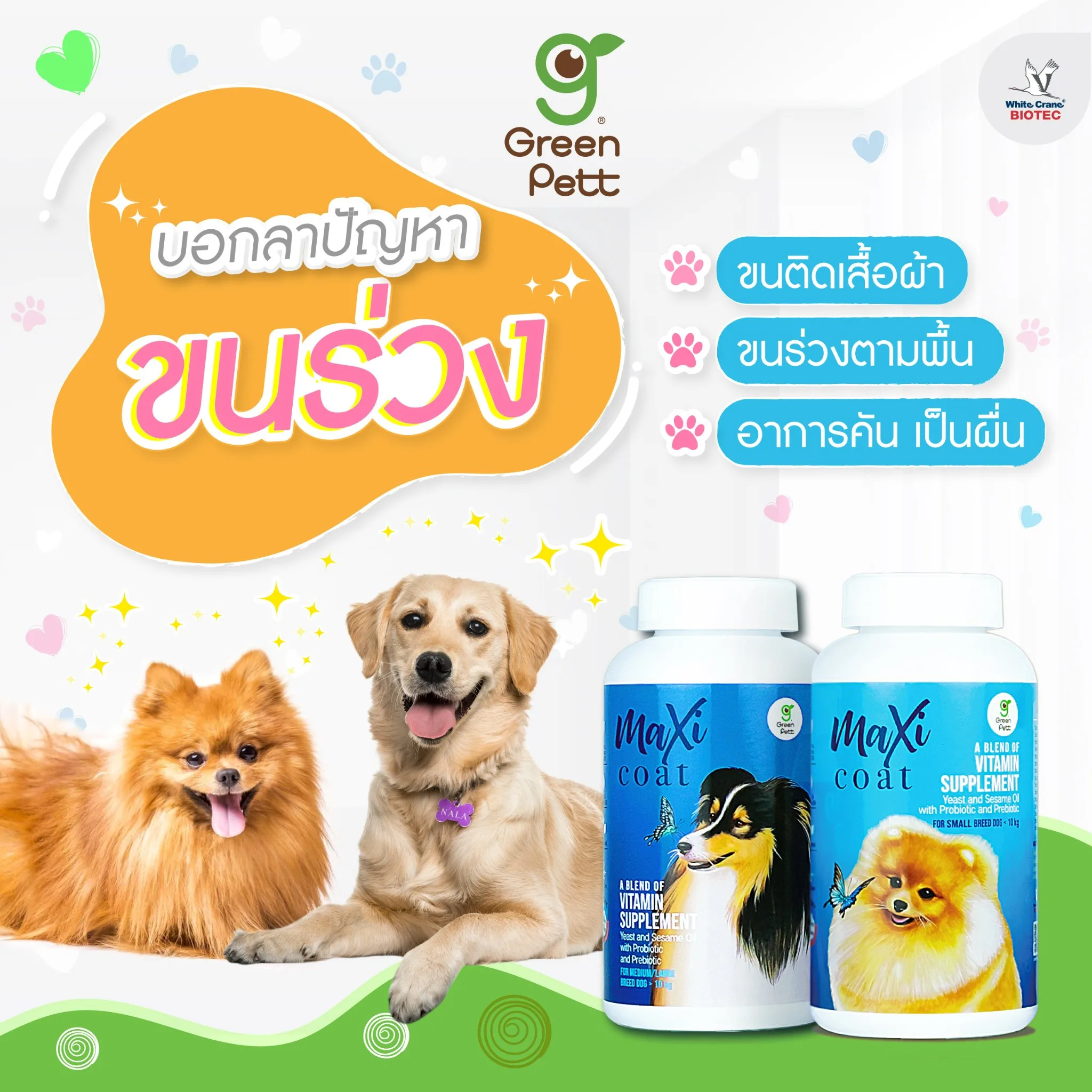 Read more about the article บอกลาปัญหาขนร่วง