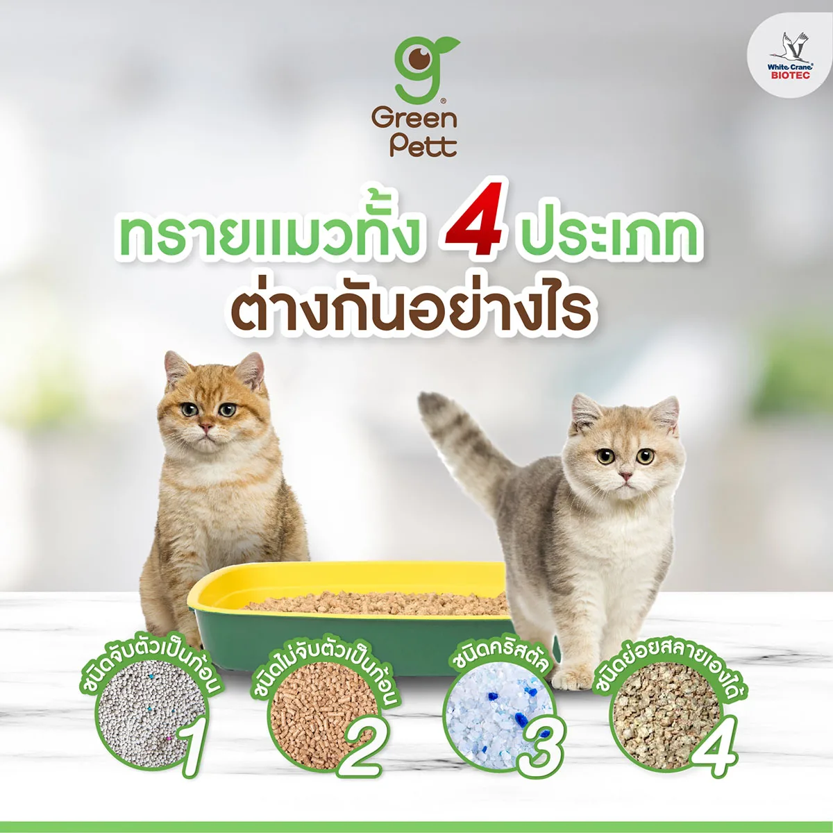 Read more about the article มาทำความรู้จักกับประเภทของทรายแมวกัน