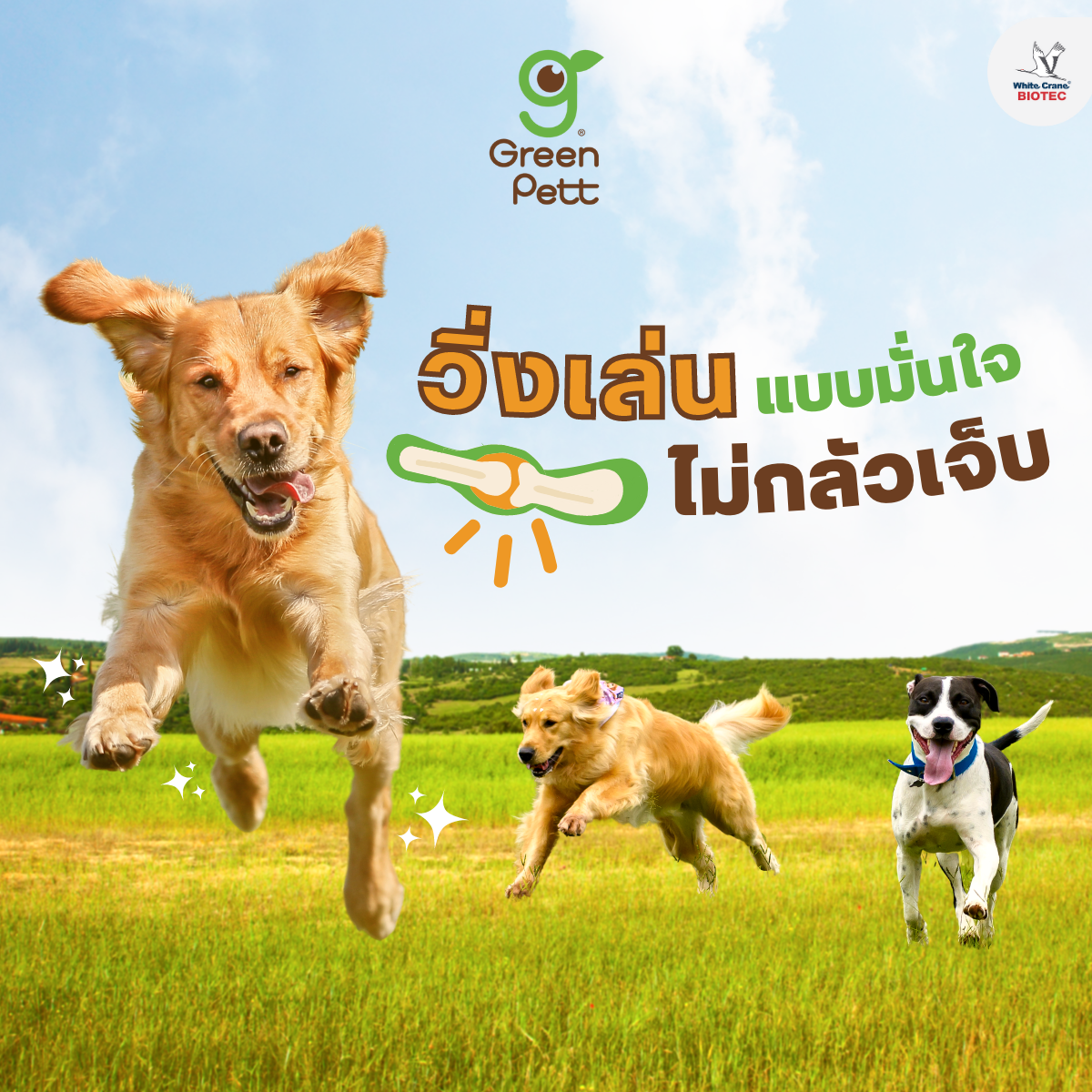 Read more about the article วิ่งเล่นแบบมั่นใจ ไม่กลัวเจ็บ