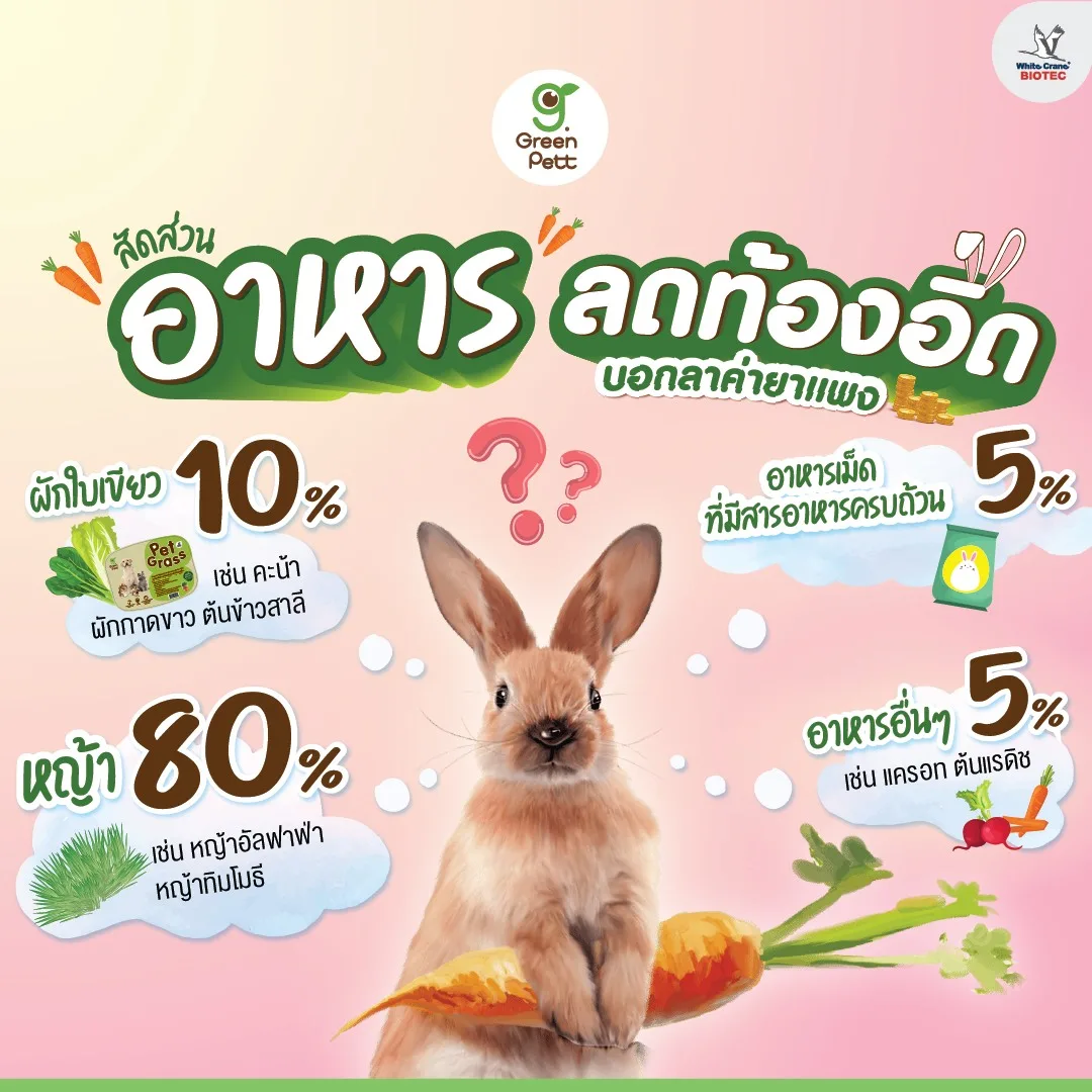 Read more about the article สัดส่วนอาหารลดท้องอืด