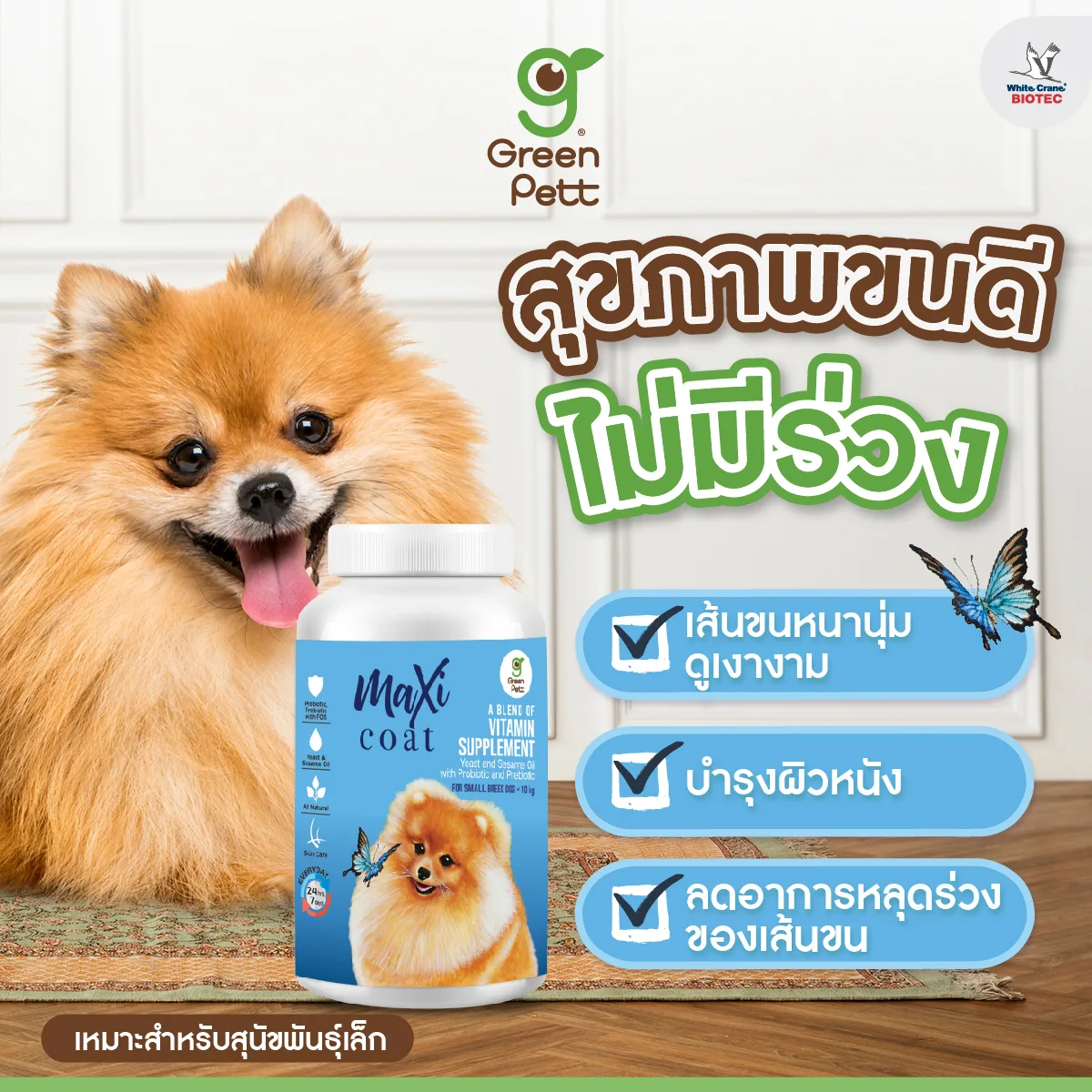 Read more about the article สุขภาพขนดี ไม่มีร่วง