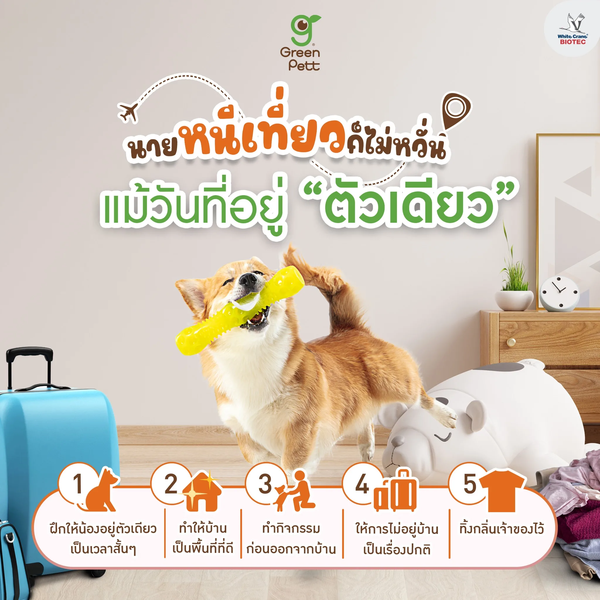 Read more about the article หนีเที่ยวได้สบายใจ ถึงน้องจะอยู่ตัวเดียว