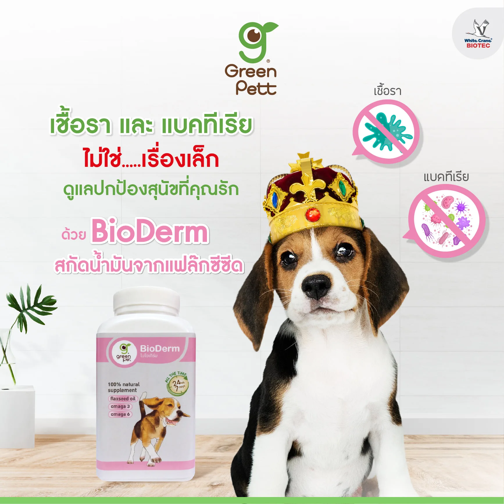 Read more about the article หมดปัญหาเรื่องเชื้อรา ใช้ไบโอเดิร์ม