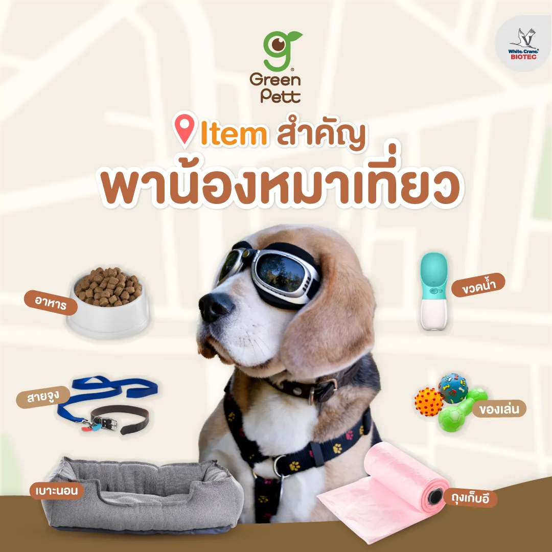 Read more about the article เช็คความพร้อมก่อนไปเที่ยว
