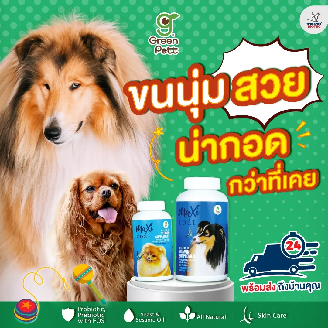 Read more about the article เพื่อขนนุ่มสวย น่ากอดกว่าที่เคย