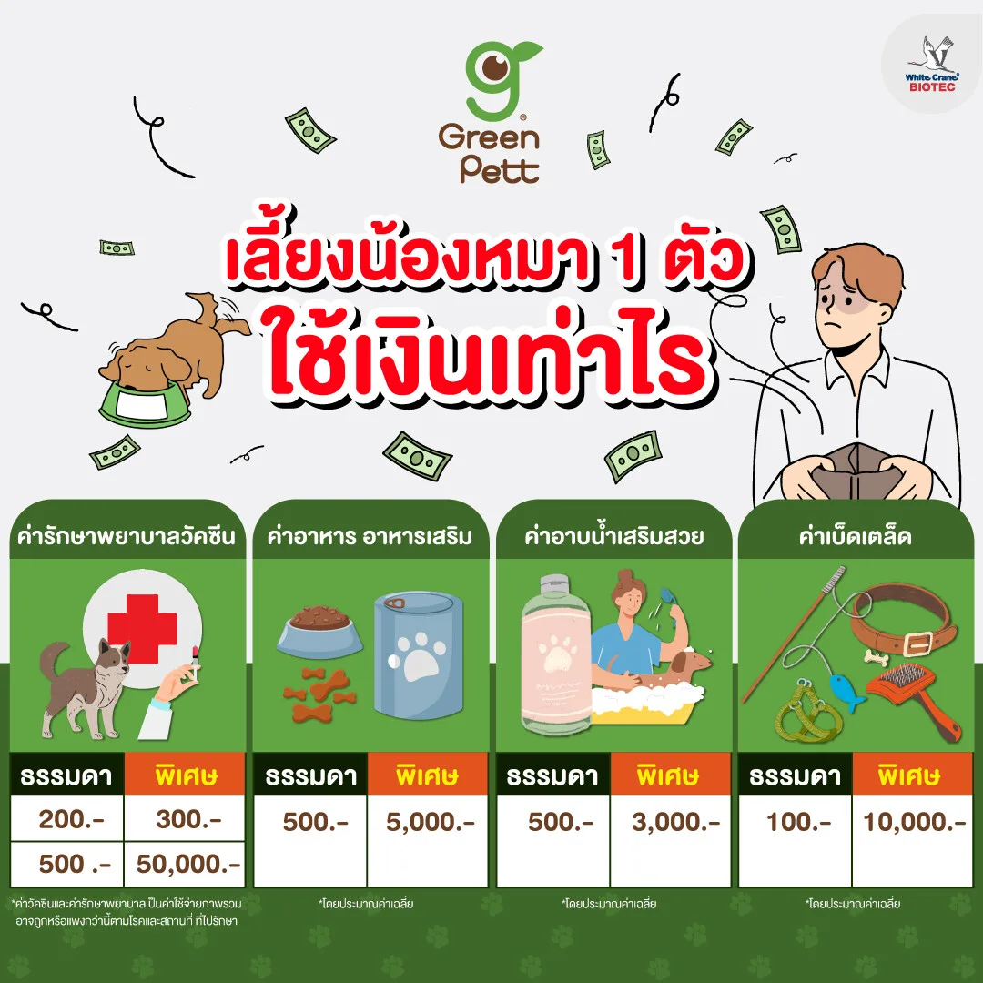 Read more about the article เลี้ยงหมาใช้เงินเท่าไหร่