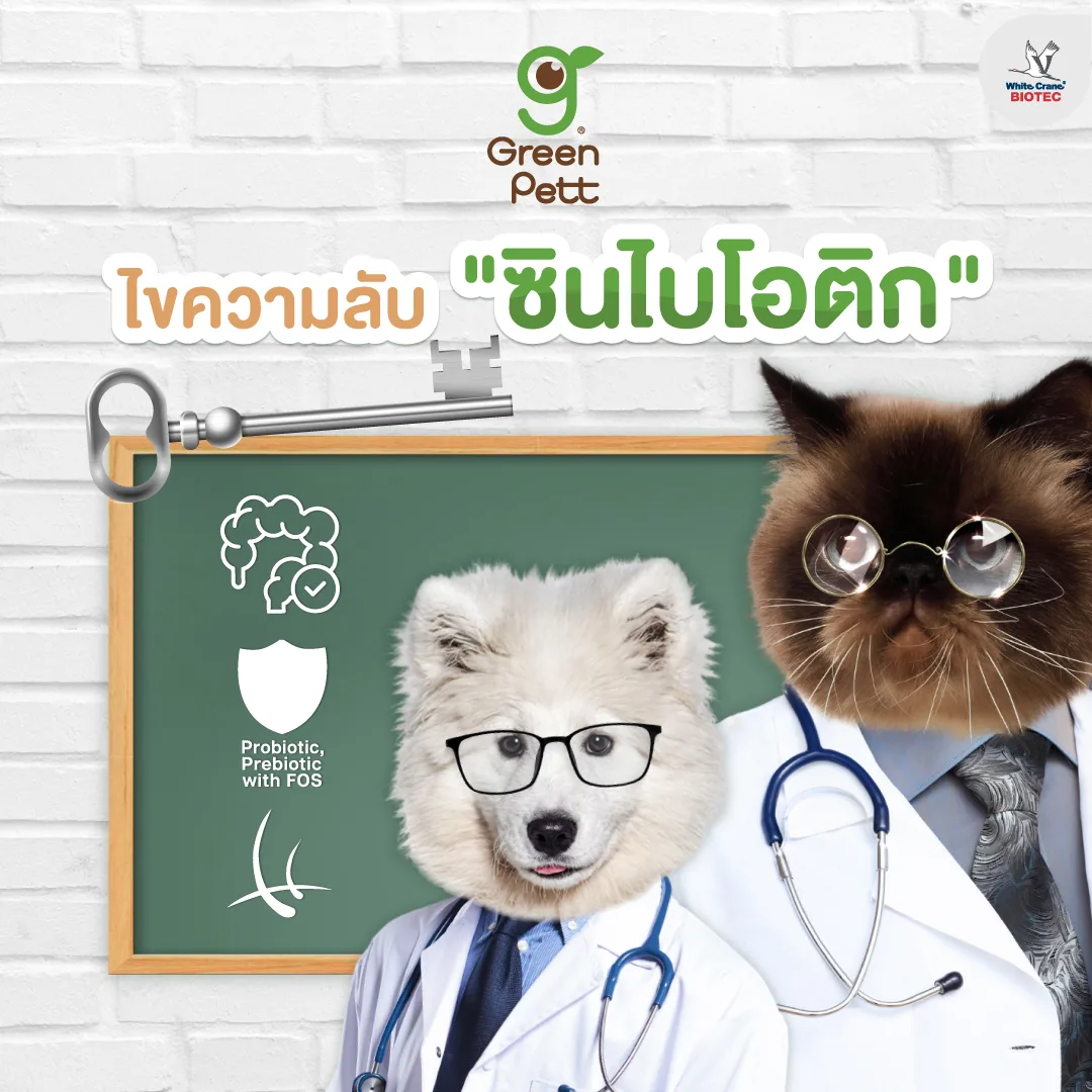 Read more about the article ไขความลับซินไบโอติก