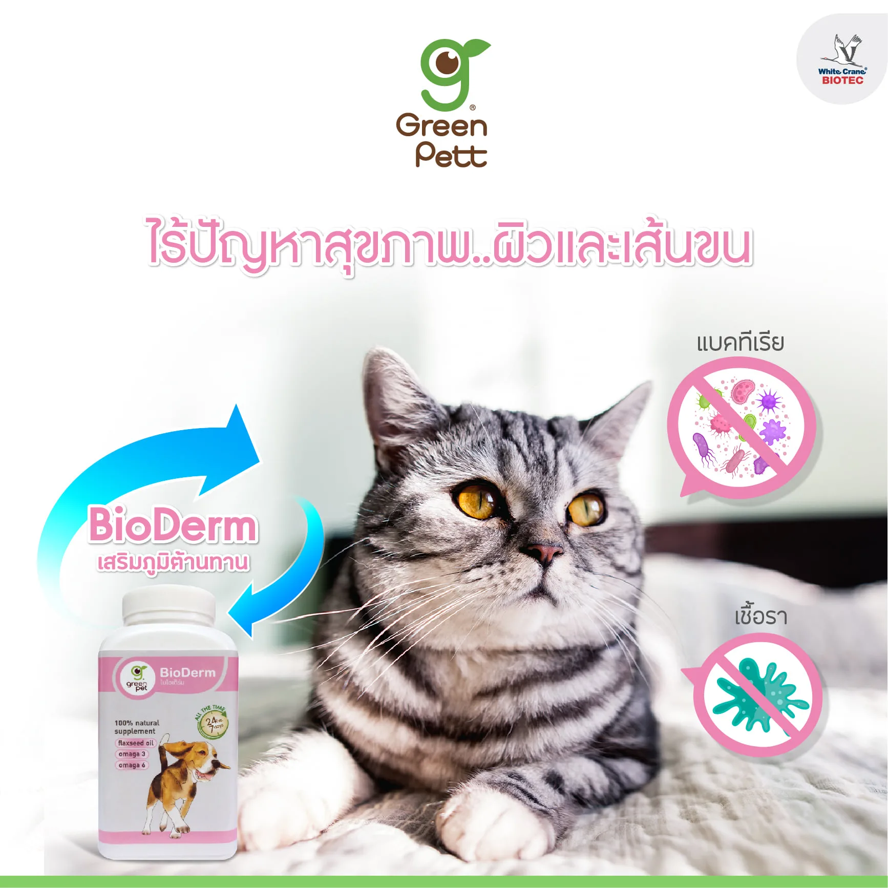 Read more about the article ไร้ปัญหาสุขภาพผิวและเส้นขน