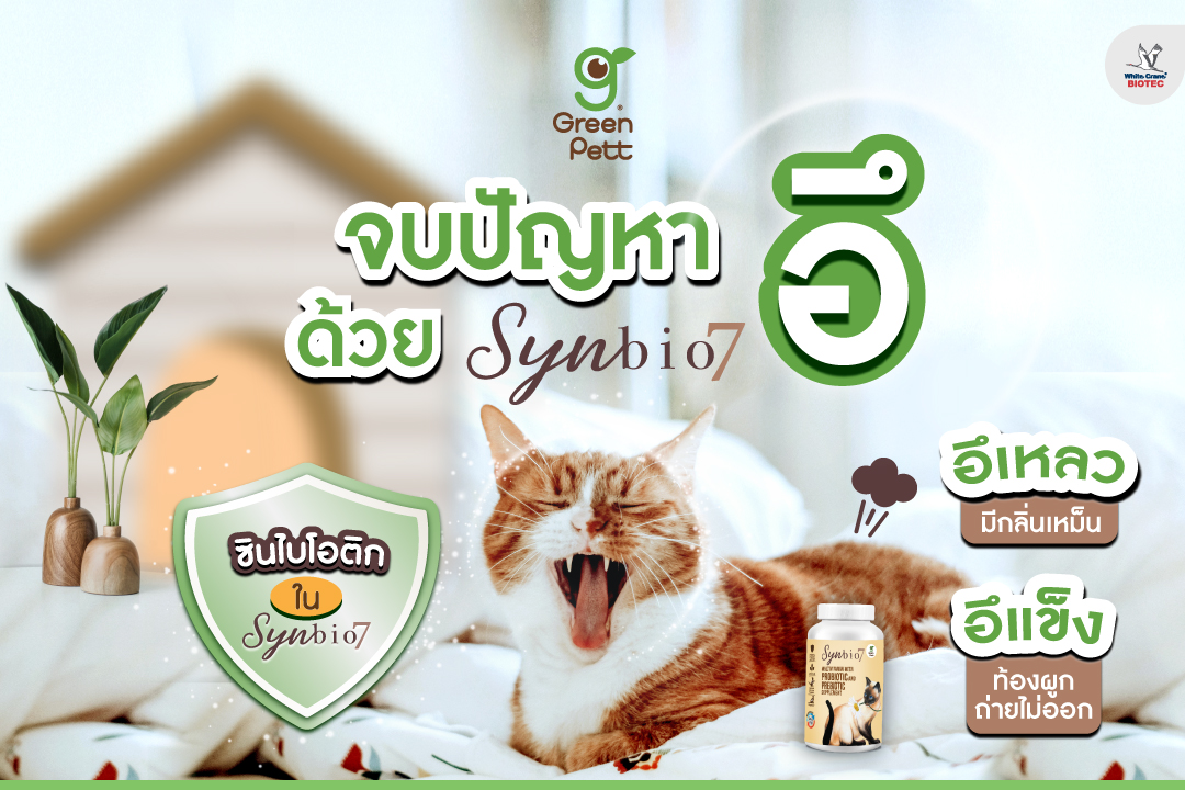 Read more about the article จบปัญหาอึด้วย Synbio 7