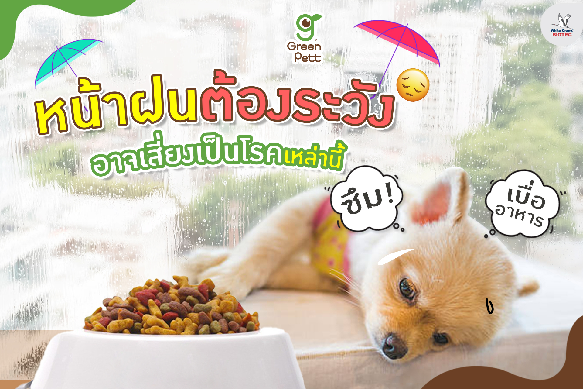 Read more about the article หน้าฝนต้องระวัง อาจเสี่ยงเป็นโรค