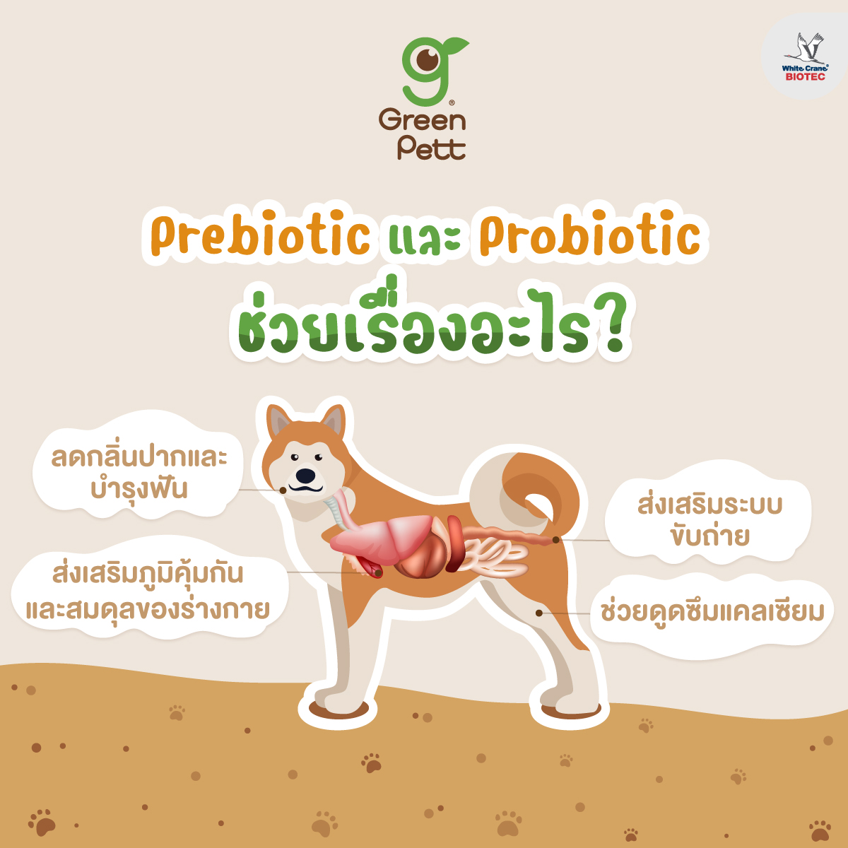 Read more about the article Prebiotic และ Probiotic ช่วยเรื่องอะไร