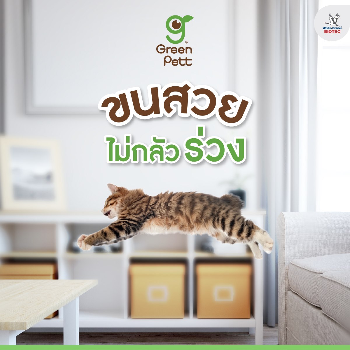 Read more about the article ขนสวยไม่กลัวร่วง