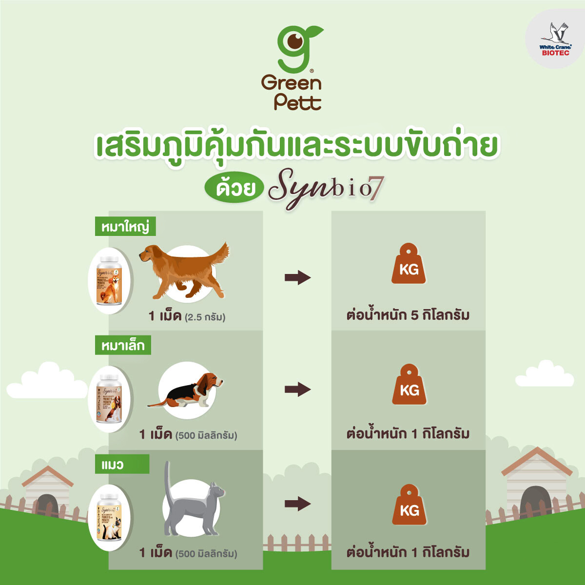Read more about the article เสริมภูมิคุ้มกันด้วย Synbio 7