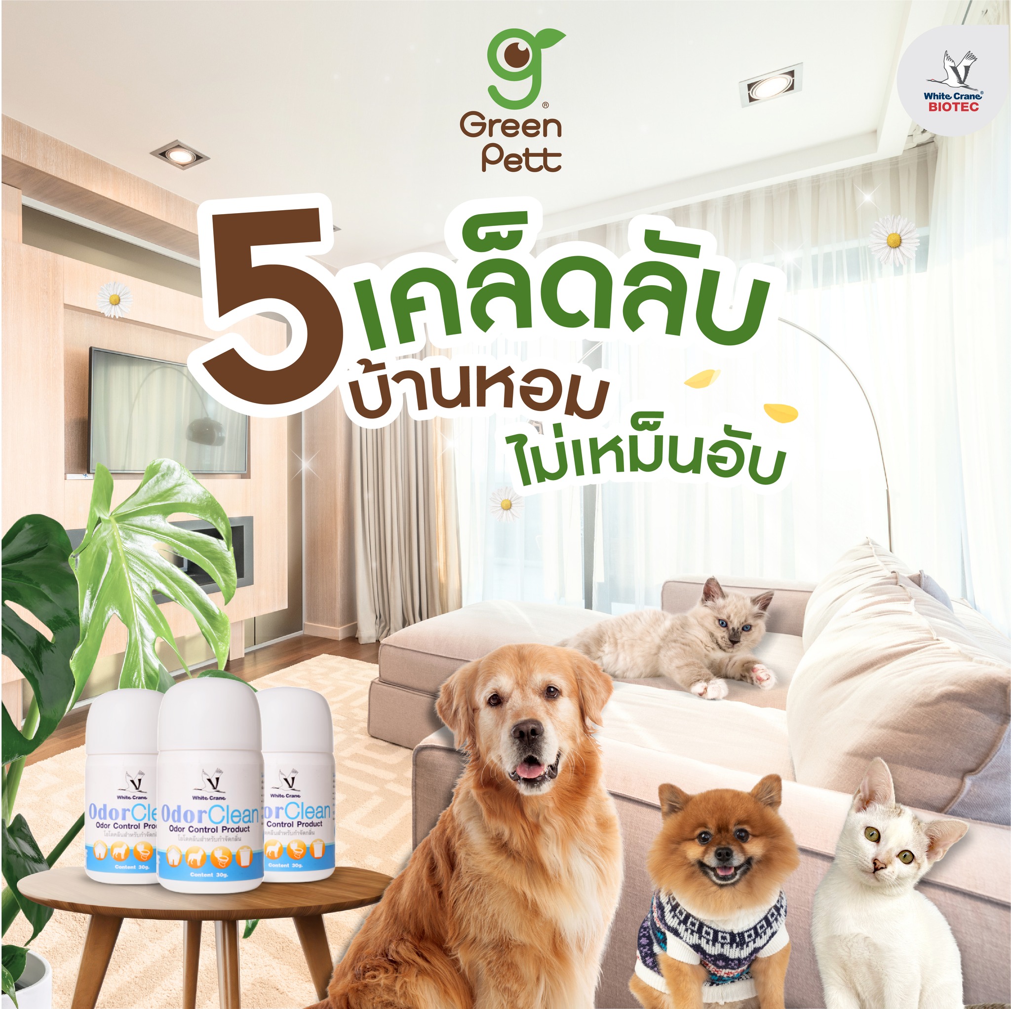 Read more about the article 5 เคล็ดลับบ้านหอม ไม่เหม็นอับ