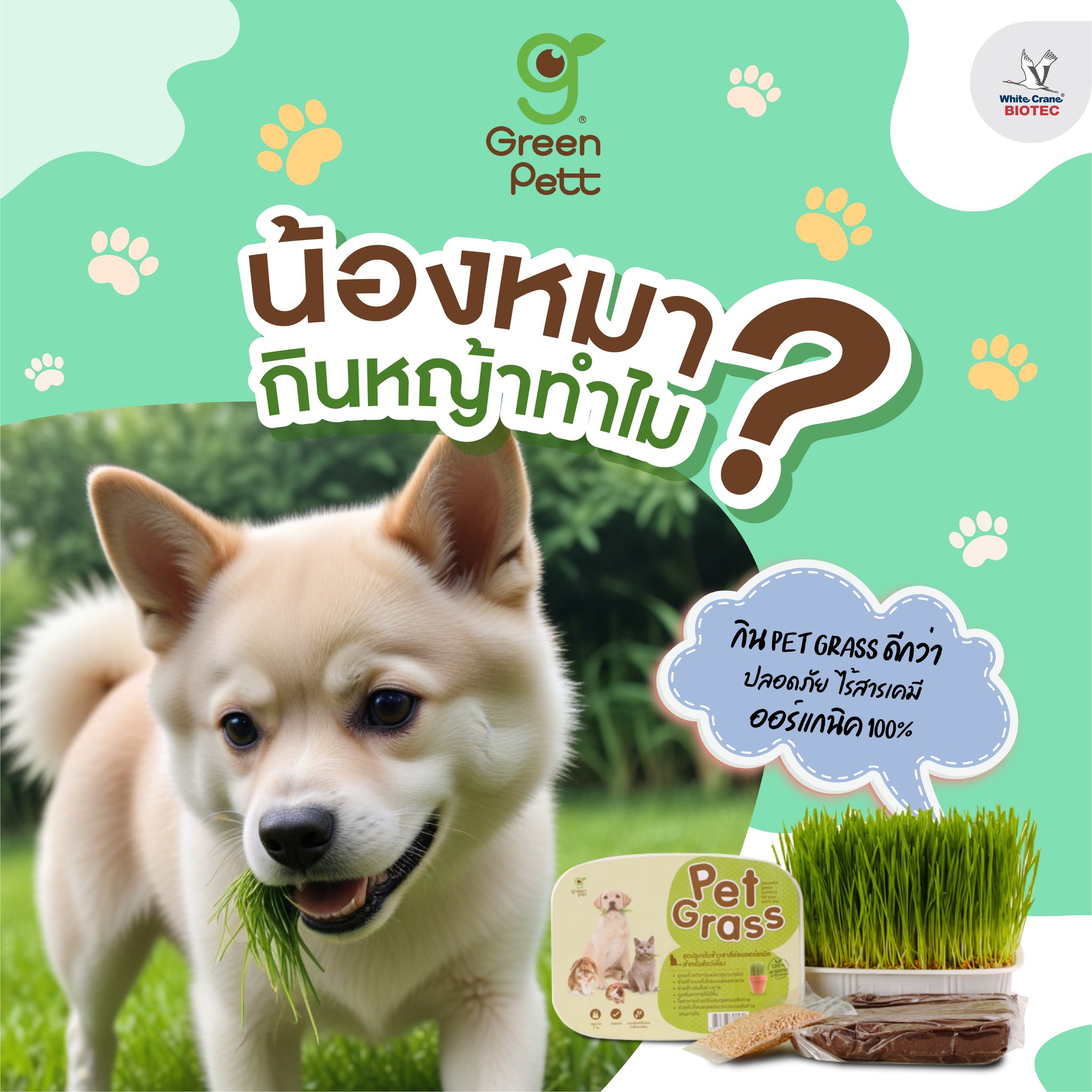 Read more about the article น้องหมากินหญ้าทำไม ?