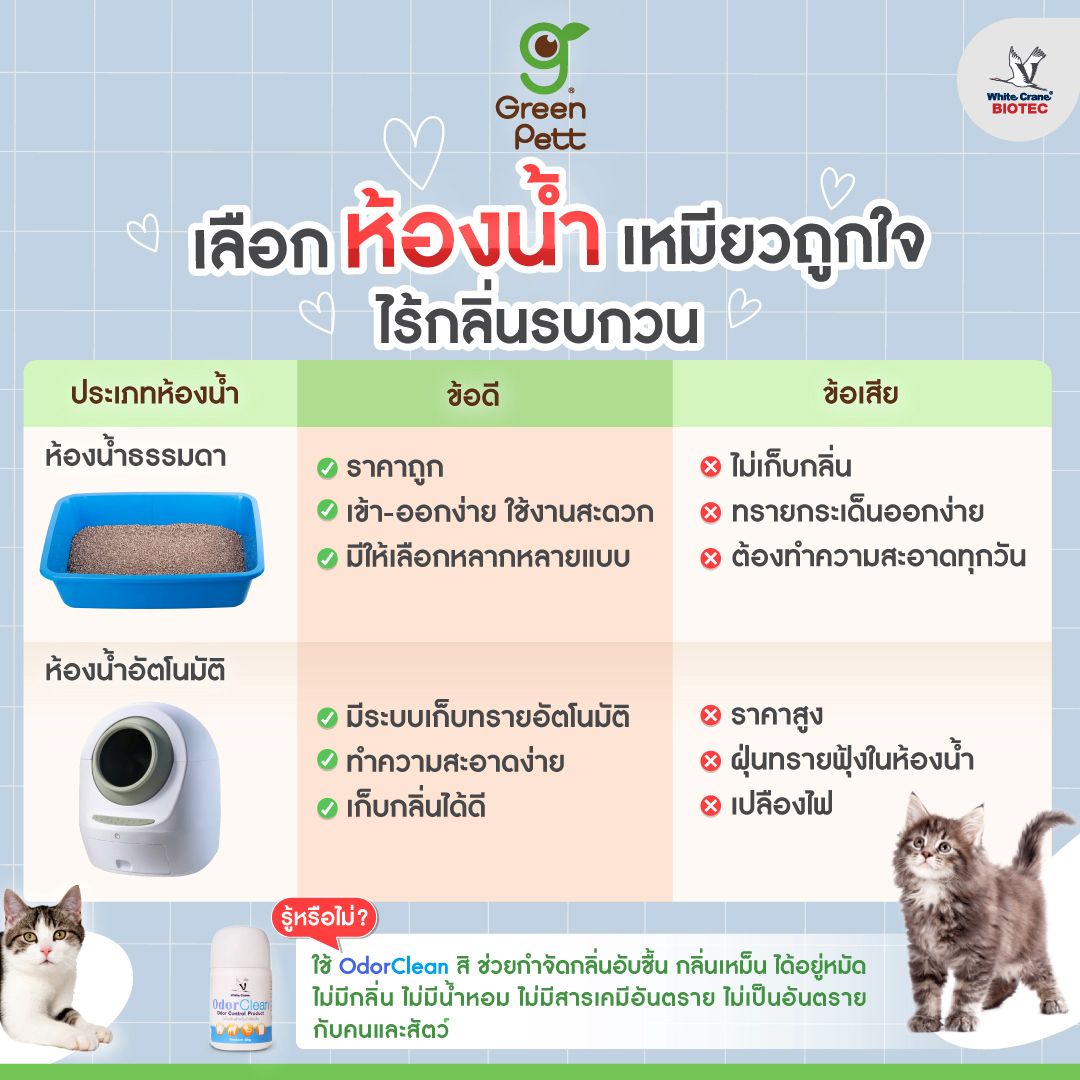 Read more about the article วิธีเลือกห้องน้ำแมว