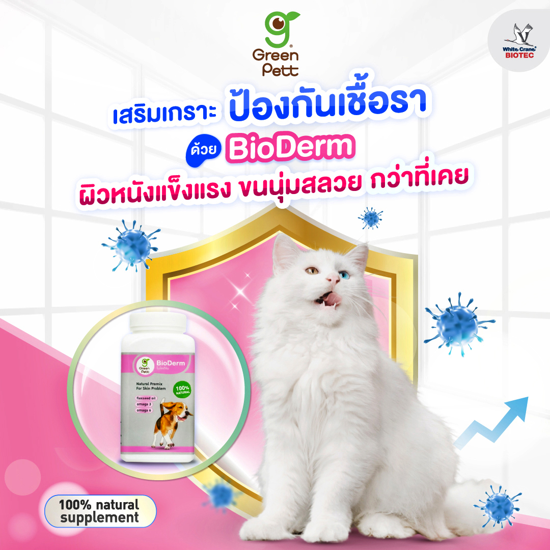 Read more about the article เสริมเกราะป้องกันเชื้อรา ด้วย  BioDerm